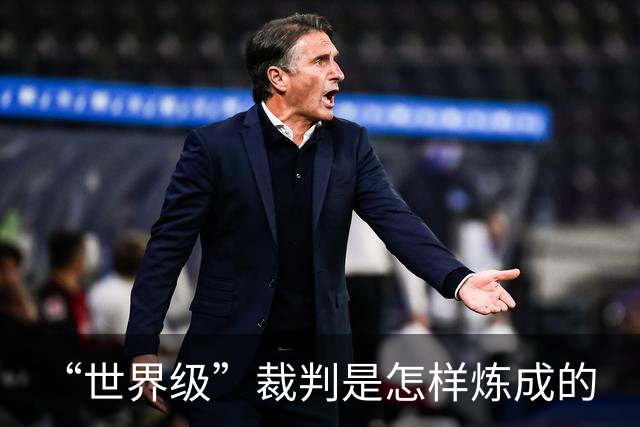 “世界级”裁判是怎样炼成的