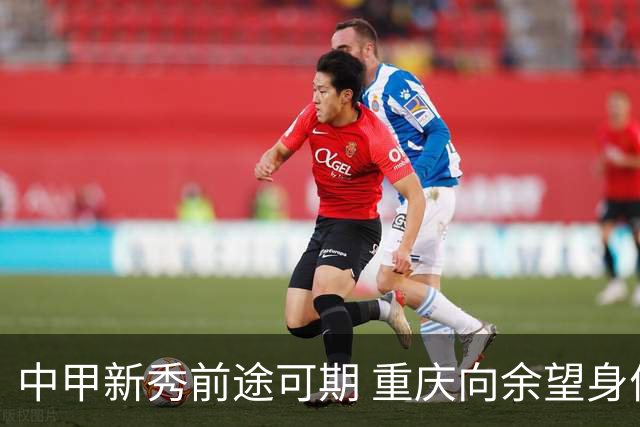 中甲新秀前途可期 重庆向余望身价45万欧高居榜首