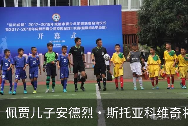 佩贾儿子安德烈·斯托亚科维奇将退出NBA选秀 重返伊利诺伊大学