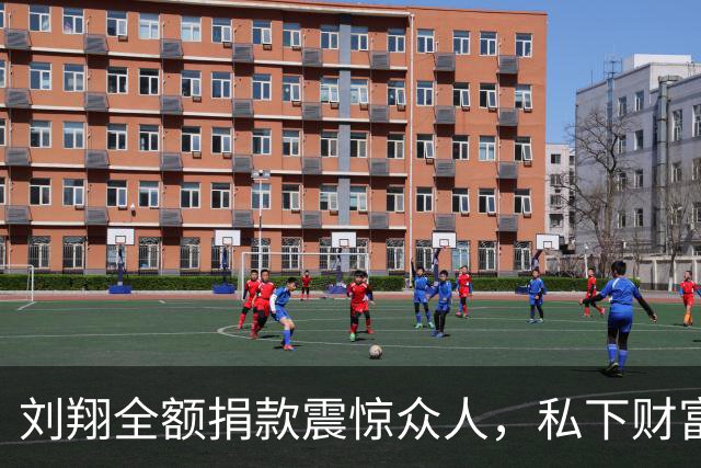 刘翔全额捐款震惊众人，私下财富远超想象