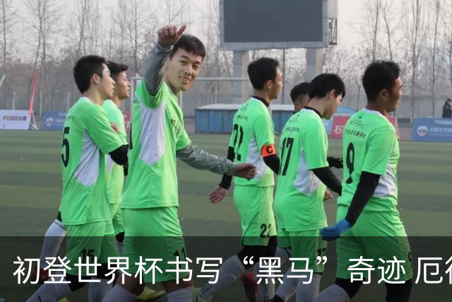 初登世界杯书写“黑马”奇迹 厄德高率挪威黄金一代启航
