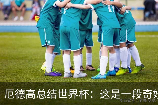 厄德高总结世界杯：这是一段奇妙的夏日旅程，为我们感到骄傲