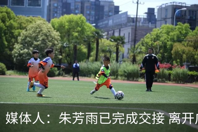 媒体人：朱芳雨已完成交接 离开广东宏远总经理岗位