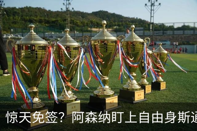 惊天免签？阿森纳盯上自由身斯通斯，萨利巴重伤逼出神操作