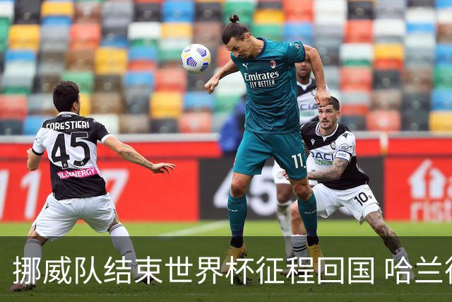 挪威队结束世界杯征程回国 哈兰德抱着毛绒浣熊引关注