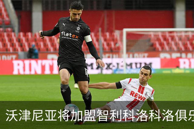 沃津尼亚将加盟智利科洛科洛俱乐部