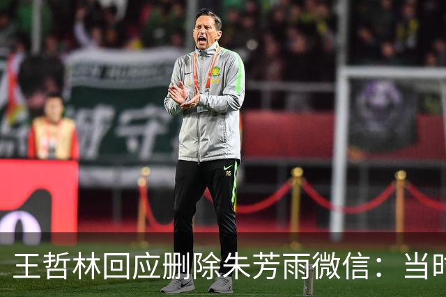 王哲林回应删除朱芳雨微信：当时被盗删了几百人 包括我妈也被删了