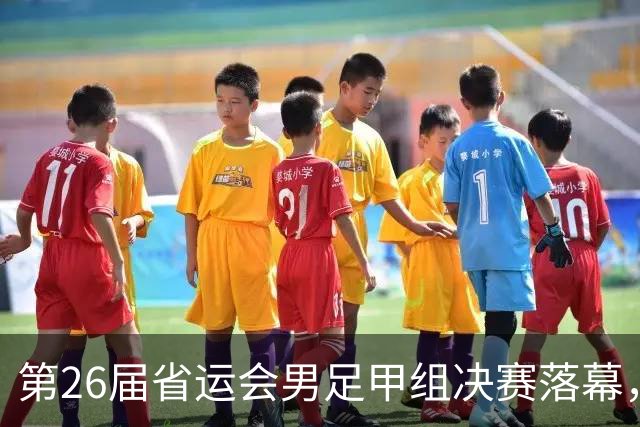 第26届省运会男足甲组决赛落幕，济南队时隔28年再夺冠军