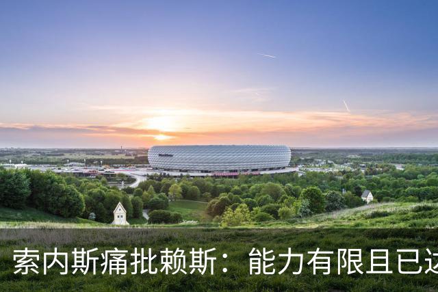 索内斯痛批赖斯：能力有限且已达上限，只会倒脚传安全球