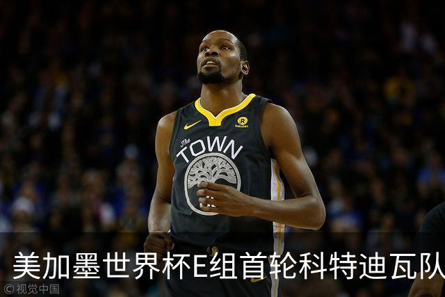 美加墨世界杯E组首轮科特迪瓦队战胜厄瓜多尔队